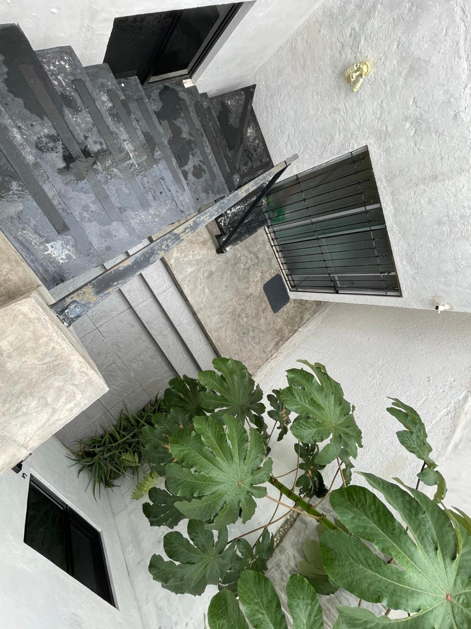 Casa Y Departamentos Lavanda Mérida Exterior foto